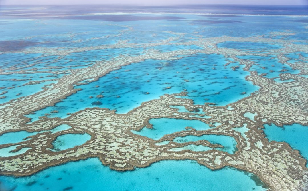 Grande Barriera Corallina, Queensland, Australia