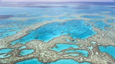 grande barriera corallina Australia