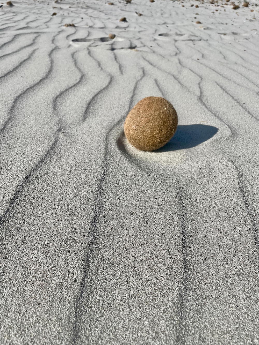 Linea di sabbia tirata dal maestrale Sant Antioco Sardegna