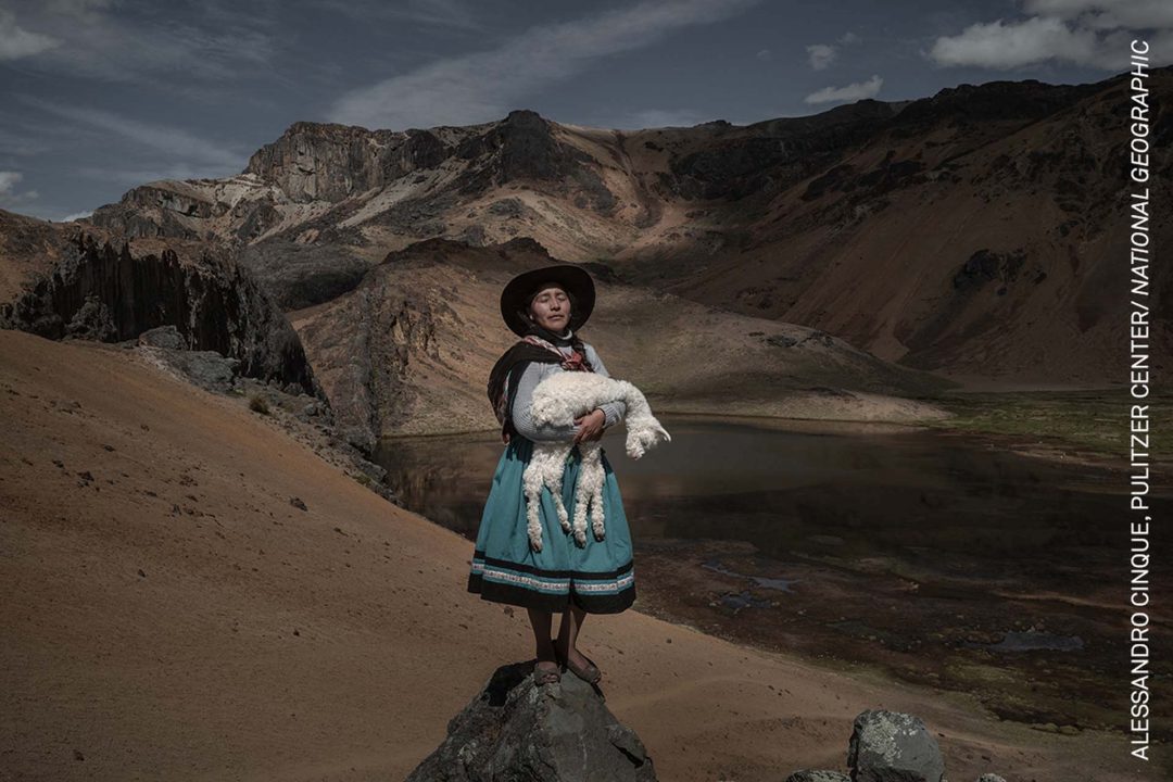 Perù: le donne che salvano gli alpaca