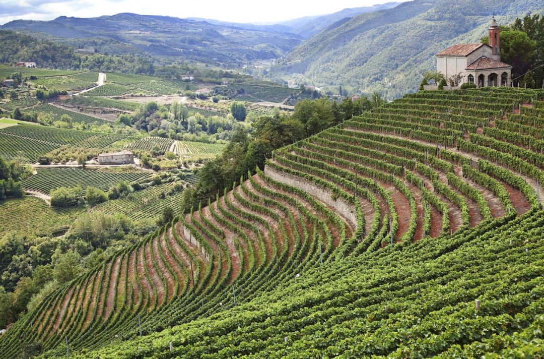 Patrimonio Culturale Immateriale Piemonte