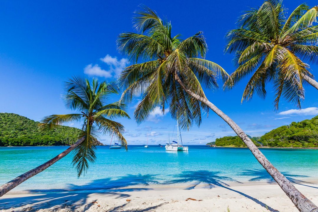 St Vincent e Grenadine: isole per sognare