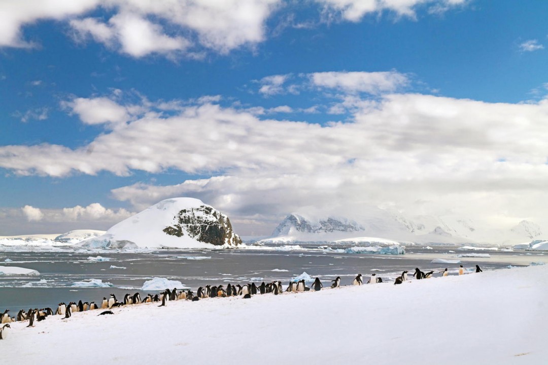 Crociera in Antartide iceberg pinguini