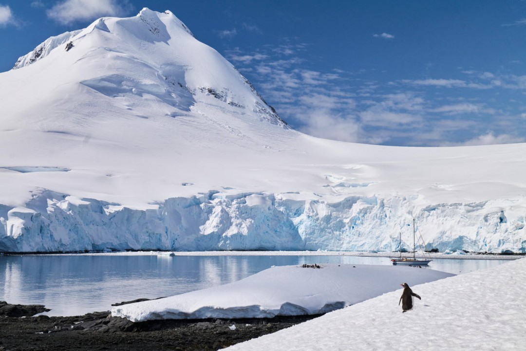 Antartide: come organizzare il viaggio foto Beatrice Pilotto per DOVE