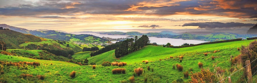 Aotearoa Nuova Zelanda viaggio di esplorazione scoperta