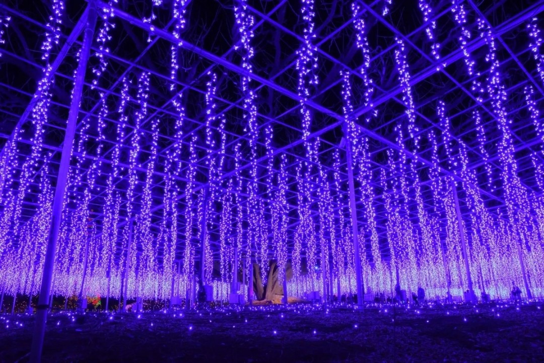 Il giardino in Giappone con milioni di lucine