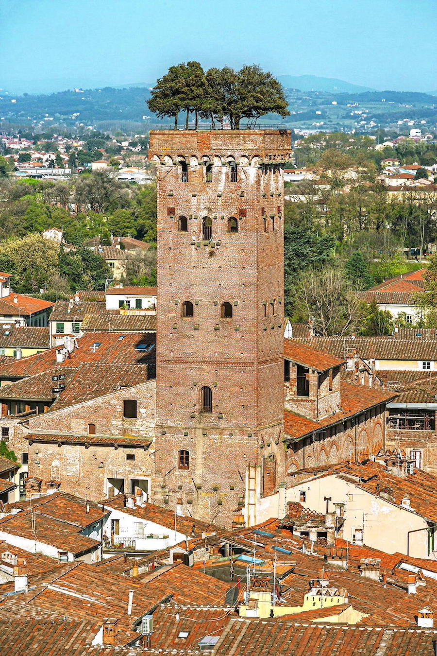 Torre Guinigi Lucca Toscana
