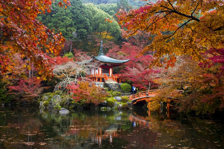 tempio Daigo-ji foliage Kyoto