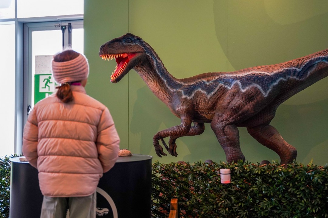 La Terra dei giganti Torino: la mostra sui dinosauri