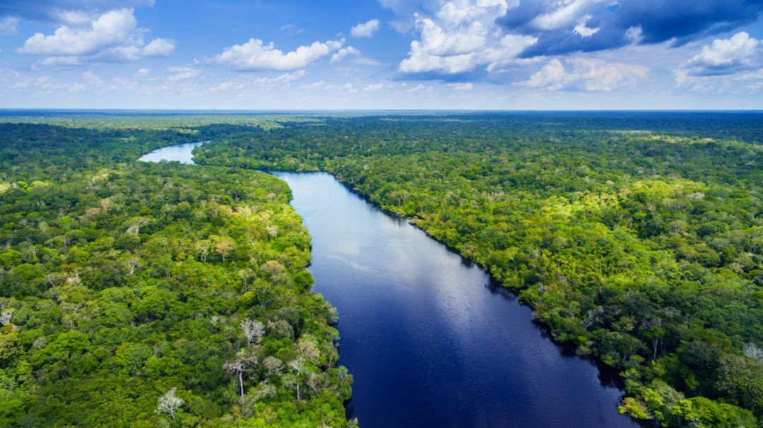 Foresta Amazzonica, Brasile
