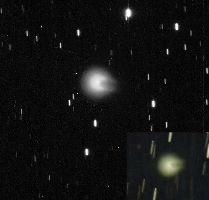 Cometa Pons-Brooks al suo massimo splendore (21 aprile)
