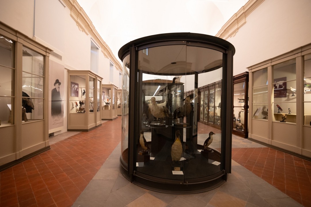 Torino: Museo Regionale di Scienze Naturali 