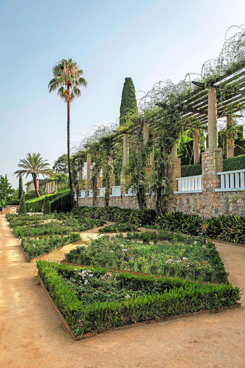 pergolato con piante rampicanti e aiuole giardini del Teatre Grec nel parco di Montjuic barcellona