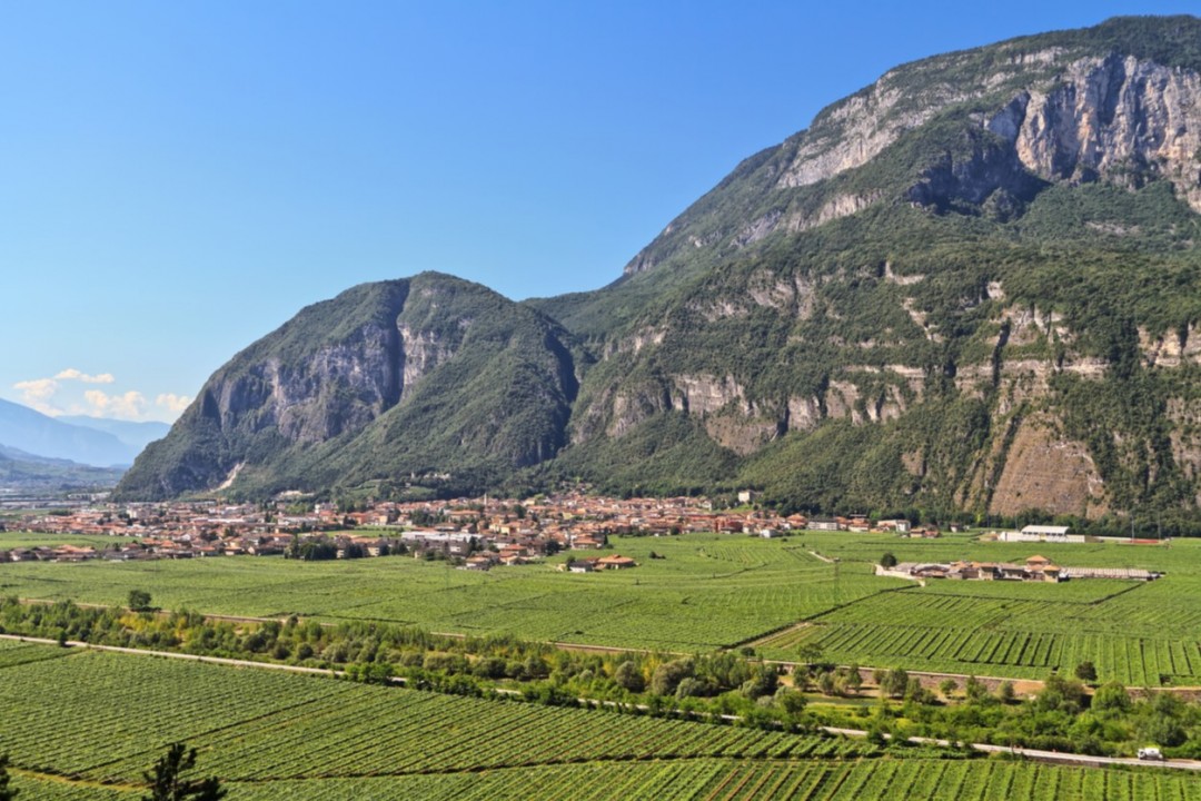 Mezzolombardo, Trento (Trentino-Alto Adige)