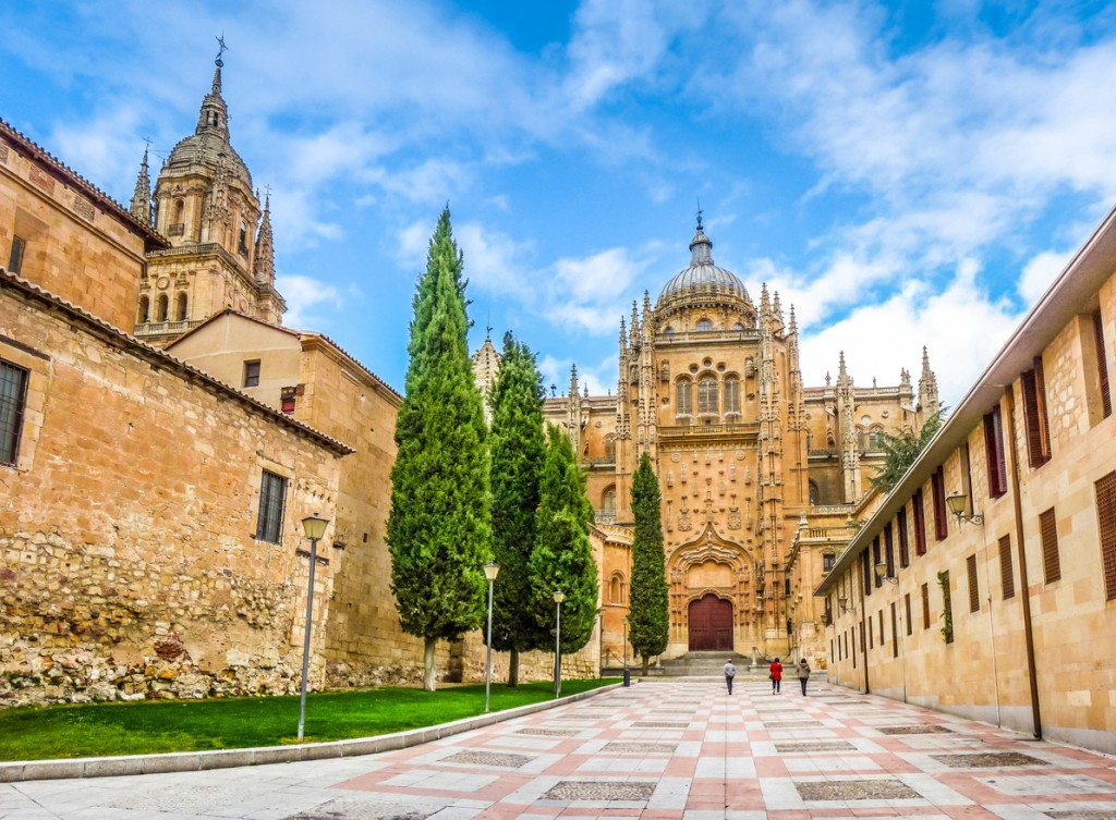 Una bella vista della Cattedrale di Salamanca 