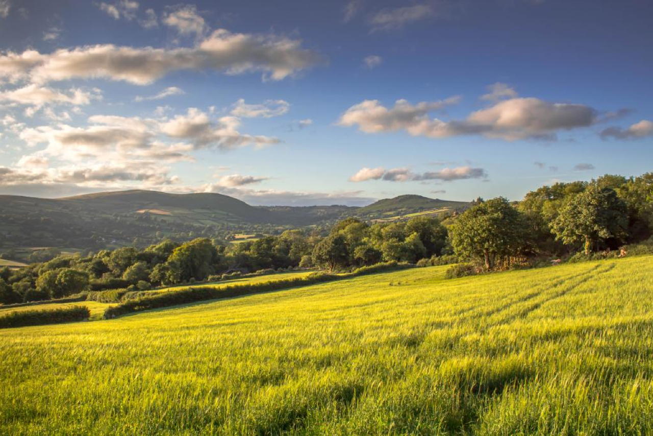 paesaggio del Dartmoor 