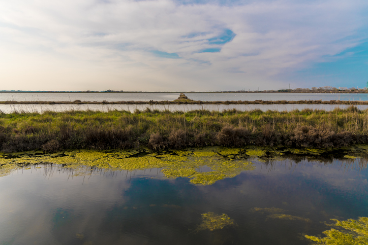 Saline di Cervia