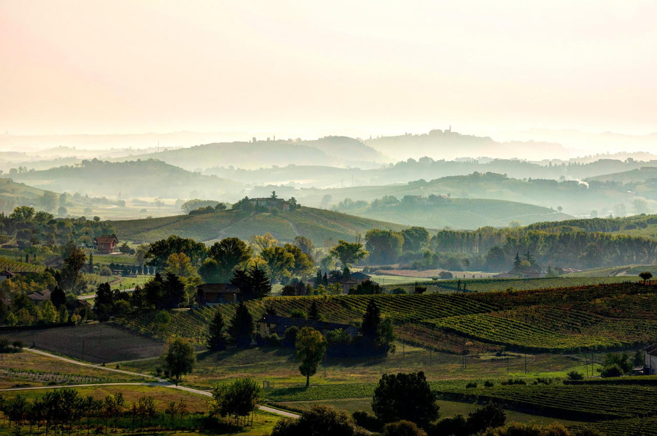 Hills of Monferrato