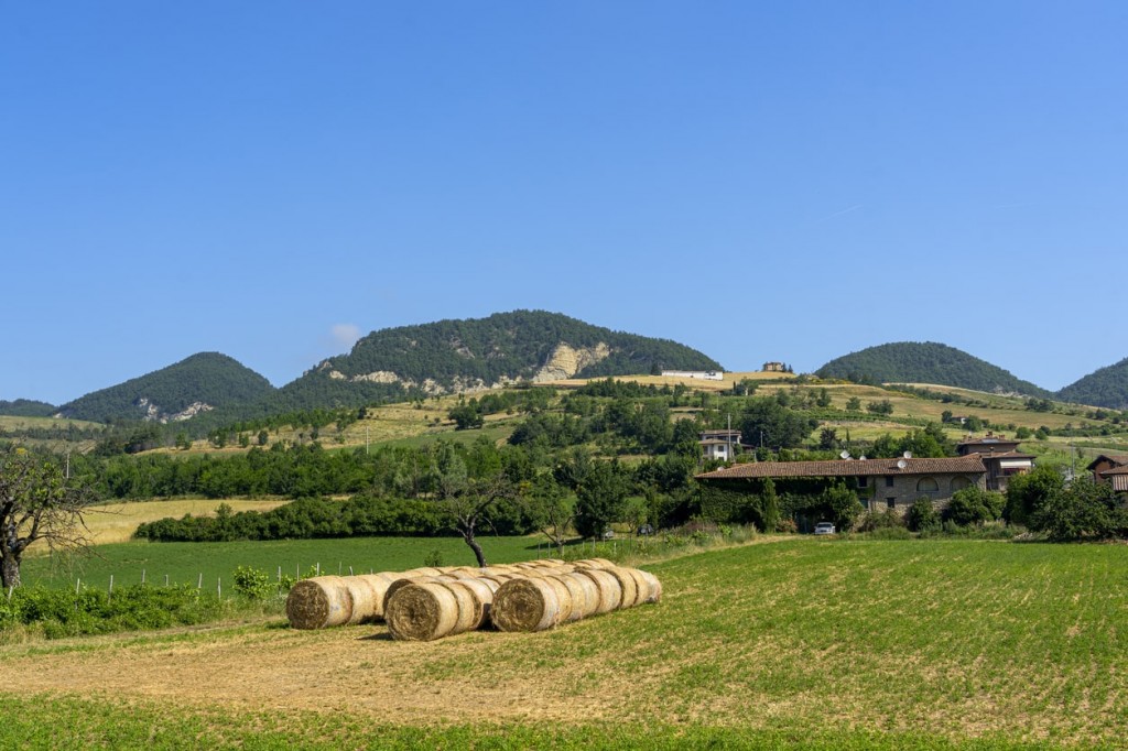 campagna varzi