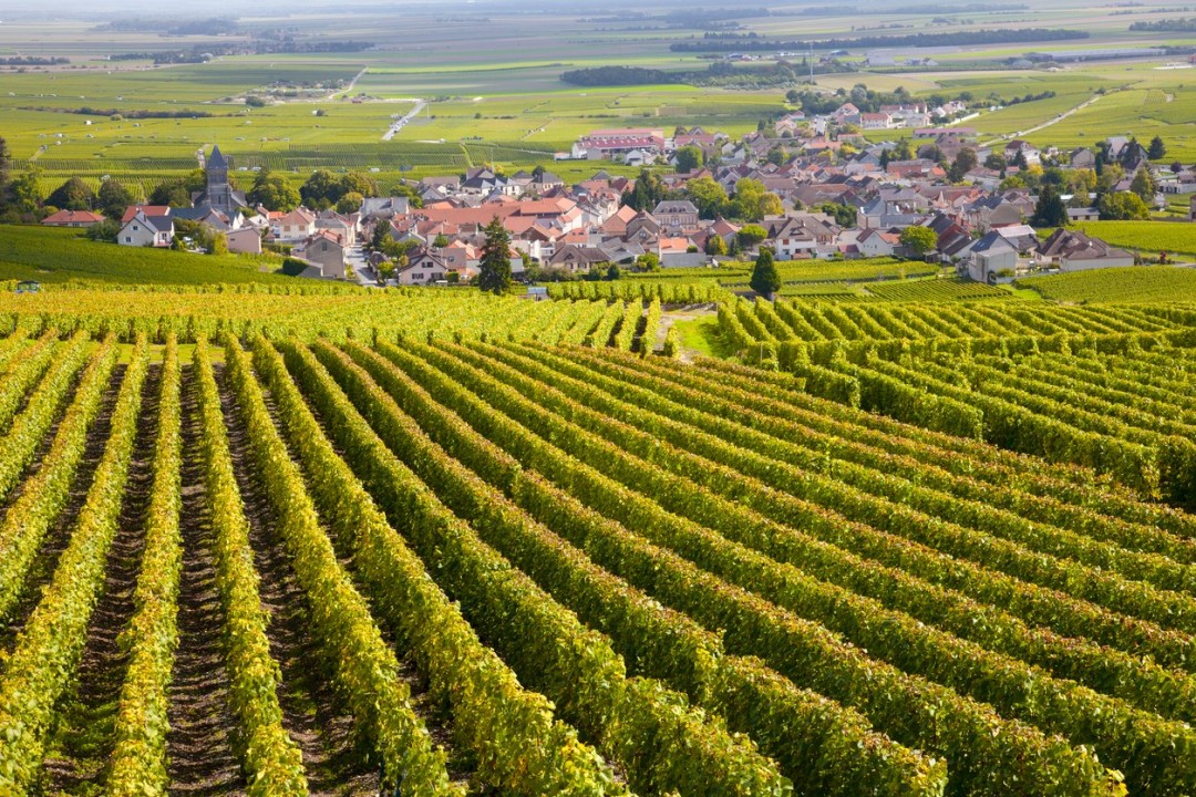 Borgogna, Francia: per gli amanti del vino e dei tour in bici