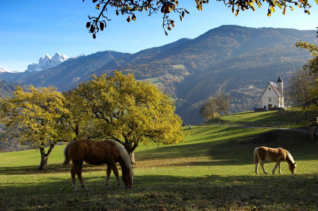  Sentiero del Castagno, Velturno