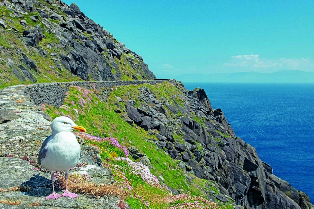 Slea head drive penisola di dingle