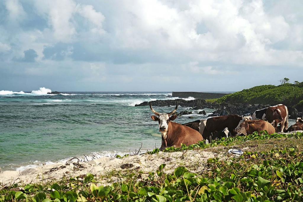 La Cambuse, Mauritius tradizioni e cultura 